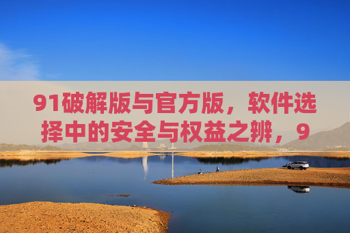 91破解版与官方版，软件选择中的安全与权益之辨，91破解版与官方版，软件选择中的安全与权益之辨