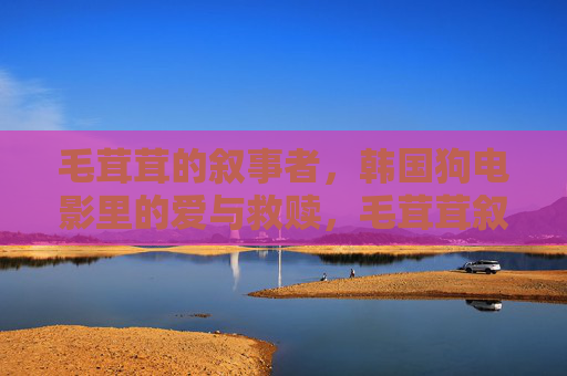 毛茸茸的叙事者,韩国狗电影里的爱与救赎,毛茸茸叙事者,韩国狗电影的爱与救赎 毛茸茸的叙事者,韩国狗电影里的爱与救赎,毛茸茸叙事者,韩国狗电影的爱与救赎