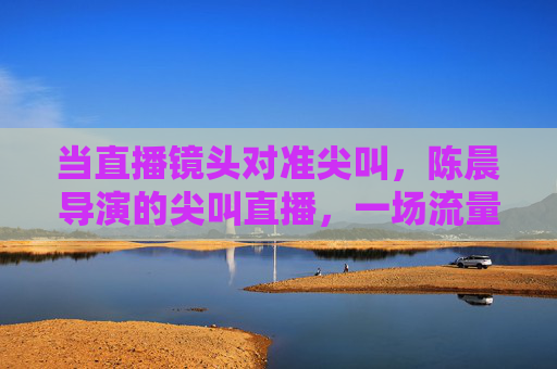 当直播镜头对准尖叫，陈晨导演的尖叫直播，一场流量时代的惊悚寓言，陈晨导演的尖叫直播，流量时代的惊悚寓言
