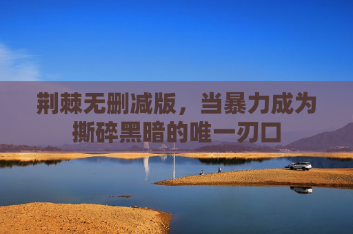 荆棘无删减版，当暴力成为撕碎黑暗的唯一刃口