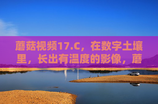蘑菇视频17.C，在数字土壤里，长出有温度的影像，蘑菇视频17.C，数字土壤里长出的有温度影像
