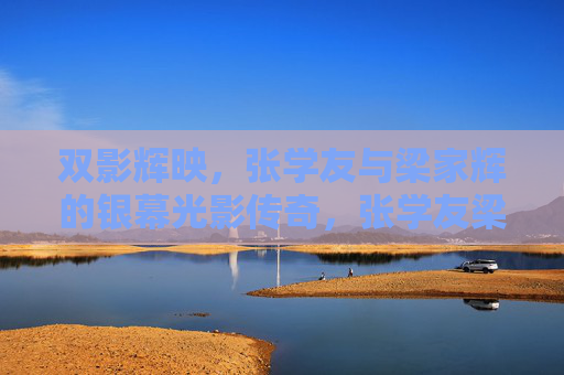 双影辉映，张学友与梁家辉的银幕光影传奇，张学友梁家辉，双影辉映的银幕光影传奇