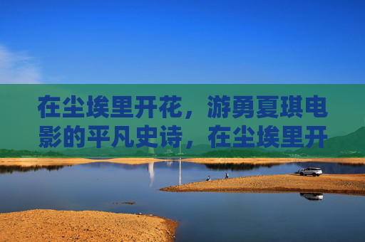 在尘埃里开花，游勇夏琪电影的平凡史诗，在尘埃里开花，游勇夏琪电影的平凡史诗