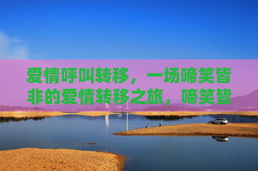 爱情呼叫转移，一场啼笑皆非的爱情转移之旅，啼笑皆非的爱情呼叫转移之旅