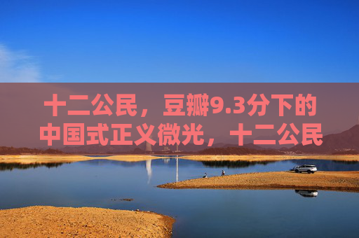十二公民,豆瓣9.3分下的中国式正义微光,十二公民,豆瓣9.3分下的中国式正义微光 十二公民,豆瓣9.3分下的中国式正义微光,十二公民,豆瓣9.3分下的中国式正义微光