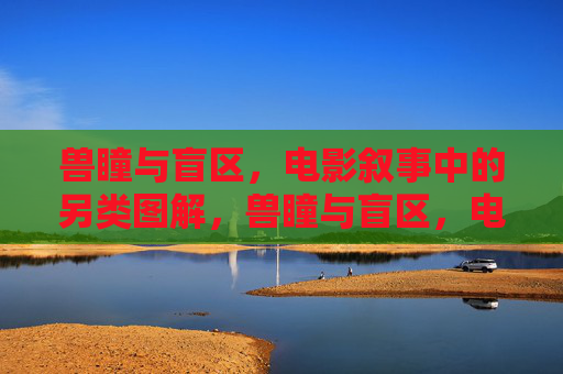 兽瞳与盲区，电影叙事中的另类图解，兽瞳与盲区，电影叙事的另类图解