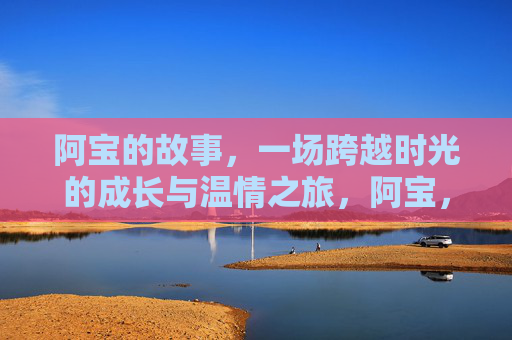 阿宝的故事，一场跨越时光的成长与温情之旅，阿宝，跨越时光的成长温情之旅