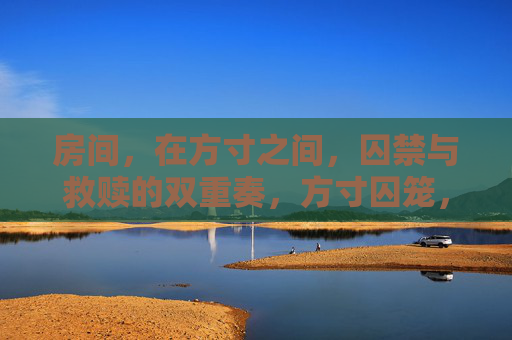 房间,在方寸之间,囚禁与救赎的双重奏,方寸囚笼,救赎的双重奏 房间,在方寸之间,囚禁与救赎的双重奏,方寸囚笼,救赎的双重奏
