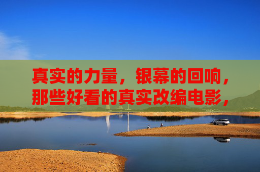真实的力量，银幕的回响，那些好看的真实改编电影，真实的力量，银幕的回响，真实改编电影