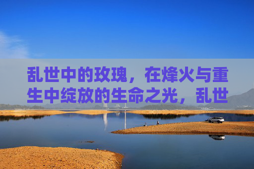 乱世中的玫瑰，在烽火与重生中绽放的生命之光，乱世玫瑰，烽火重生的生命之光