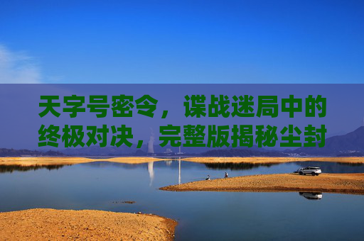 天字号密令,谍战迷局中的终极对决,完整版揭秘尘封的生死密码 天字号密令,谍战迷局中的终极对决,完整版揭秘尘封的生死密码
