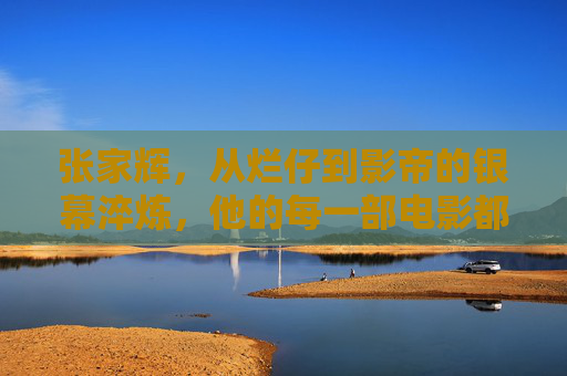 张家辉，从烂仔到影帝的银幕淬炼，他的每一部电影都是演技的试金石，张家辉，从烂仔到影帝的银幕淬炼，演技试金石