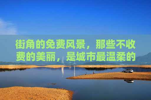 街角的免费风景,那些不收费的美丽,是城市最温柔的注脚,街角免费风景,城市温柔注脚 街角的免费风景,那些不收费的美丽,是城市最温柔的注脚,街角免费风景,城市温柔注脚