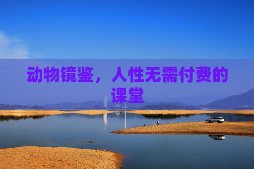 动物镜鉴,人性无需付费的课堂 动物镜鉴,人性无需付费的课堂