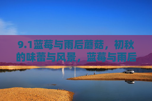 9.1蓝莓与雨后蘑菇,初秋的味蕾与风景,蓝莓与雨后蘑菇,初秋的味蕾与风景 9.1蓝莓与雨后蘑菇,初秋的味蕾与风景,蓝莓与雨后蘑菇,初秋的味蕾与风景