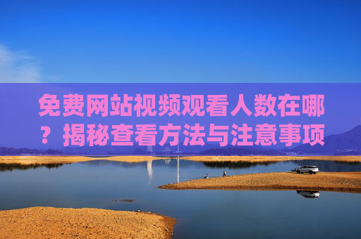 免费网站视频观看人数在哪？揭秘查看方法与注意事项，免费网站视频观看人数查看，方法与注意事项揭秘