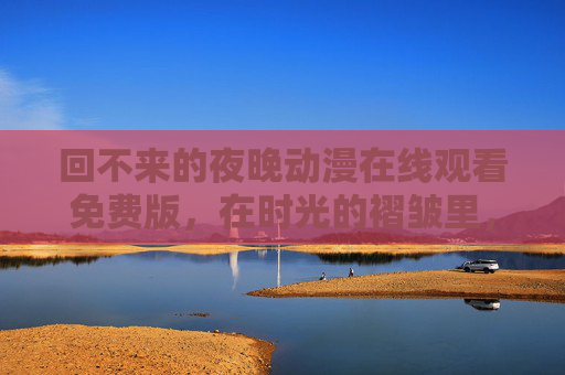 回不来的夜晚动漫在线观看免费版，在时光的褶皱里，与遗憾和解，回不来的夜晚，时光褶皱里的遗憾和解