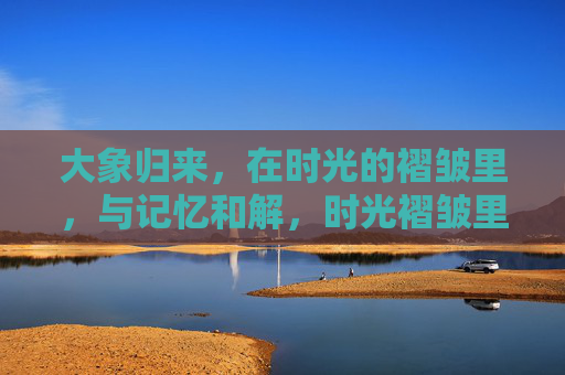 大象归来，在时光的褶皱里，与记忆和解，时光褶皱里，大象归来与记忆和解