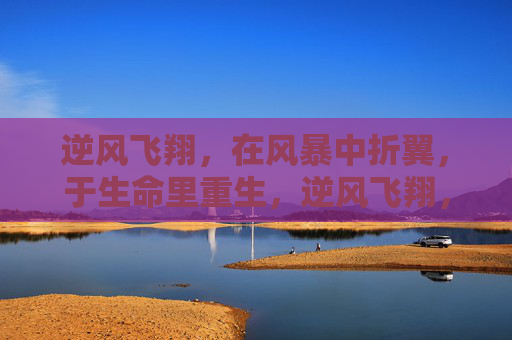 逆风飞翔,在风暴中折翼,于生命里重生,逆风飞翔,折翼重生 逆风飞翔,在风暴中折翼,于生命里重生,逆风飞翔,折翼重生