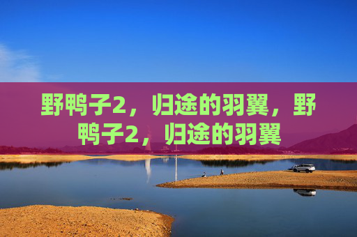 野鸭子2,归途的羽翼,野鸭子2,归途的羽翼 野鸭子2,归途的羽翼,野鸭子2,归途的羽翼