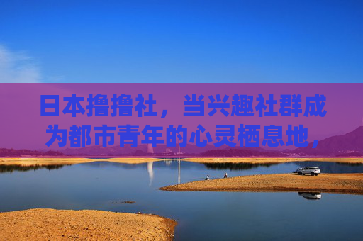 日本撸撸社，当兴趣社群成为都市青年的心灵栖息地，日本撸撸社，都市青年的心灵栖息地