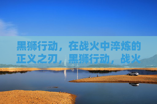 黑狮行动,在战火中淬炼的正义之刃,黑狮行动,战火淬炼的正义之刃 黑狮行动,在战火中淬炼的正义之刃,黑狮行动,战火淬炼的正义之刃