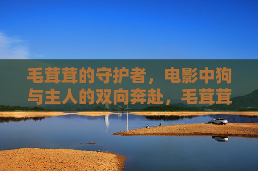毛茸茸的守护者,电影中狗与主人的双向奔赴,毛茸茸守护者,狗与主人的双向奔赴 毛茸茸的守护者,电影中狗与主人的双向奔赴,毛茸茸守护者,狗与主人的双向奔赴