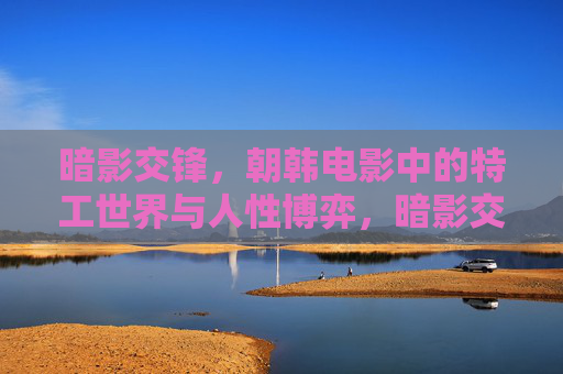 暗影交锋，朝韩电影中的特工世界与人性博弈，暗影交锋，朝韩特工世界的人性博弈