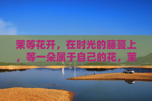 茉等花开,在时光的藤蔓上,等一朵属于自己的花,茉等花开,时光藤蔓上的独属花 茉等花开,在时光的藤蔓上,等一朵属于自己的花,茉等花开,时光藤蔓上的独属花