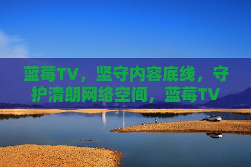 蓝莓TV，坚守内容底线，守护清朗网络空间，蓝莓TV，坚守底线 守护清朗