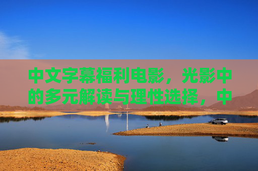 中文字幕福利电影，光影中的多元解读与理性选择，中文字幕福利电影，光影下的多元解读与理性之选