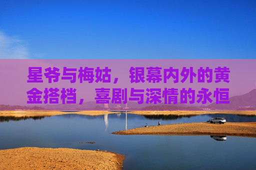星爷与梅姑,银幕内外的黄金搭档,喜剧与深情的永恒回响 星爷与梅姑,银幕内外的黄金搭档,喜剧与深情的永恒回响