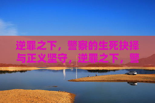 逆罪之下，警察的生死抉择与正义坚守，逆罪之下，警察的生死抉择与正义坚守