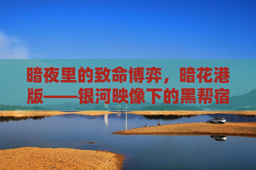 暗夜里的致命博弈，暗花港版——银河映像下的黑帮宿命，暗花港版，暗夜致命博弈·银河映像黑帮宿命