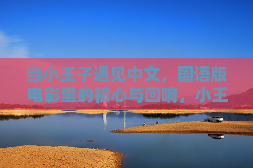 当小王子遇见中文,国语版电影里的初心与回响,小王子遇见中文,初心与回响 当小王子遇见中文,国语版电影里的初心与回响,小王子遇见中文,初心与回响