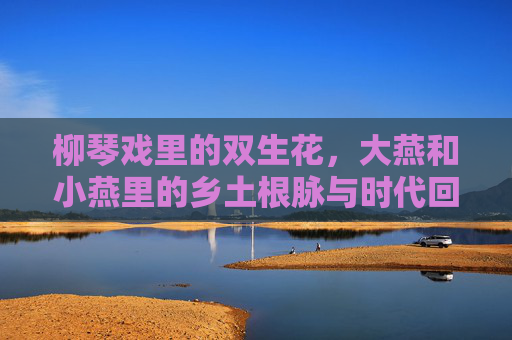 柳琴戏里的双生花,大燕和小燕里的乡土根脉与时代回响,柳琴戏双生花,大燕小燕的乡土根脉与时代回响 柳琴戏里的双生花,大燕和小燕里的乡土根脉与时代回响,柳琴戏双生花,大燕小燕的乡土根脉与时代回响