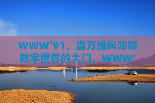 WWW’91,当万维网叩响数字世界的大门,WWW’91,叩响数字世界的大门 WWW’91,当万维网叩响数字世界的大门,WWW’91,叩响数字世界的大门