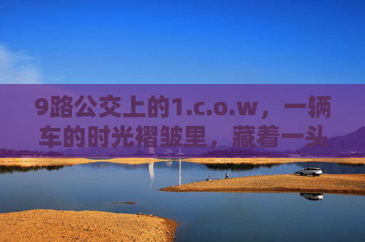 9路公交上的1.c.o.w,一辆车的时光褶皱里,藏着一头牛的温柔,9路公交的时光褶皱,藏着一头牛的温柔 9路公交上的1.c.o.w,一辆车的时光褶皱里,藏着一头牛的温柔,9路公交的时光褶皱,藏着一头牛的温柔