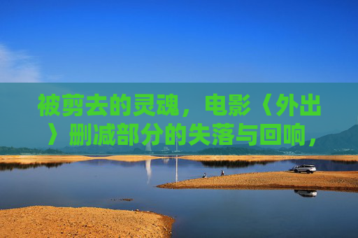 被剪去的灵魂,电影〈外出〉删减部分的失落与回响,外出,被剪去的灵魂与失落回响 被剪去的灵魂,电影〈外出〉删减部分的失落与回响,外出,被剪去的灵魂与失落回响