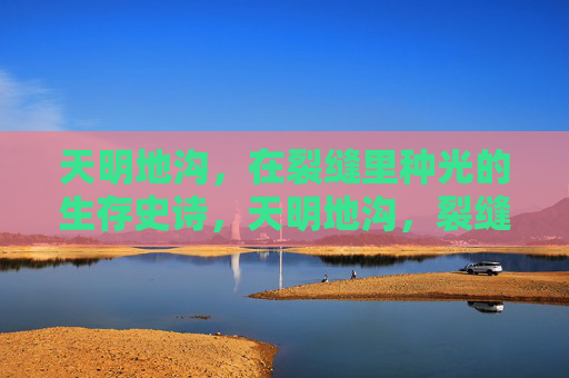 天明地沟,在裂缝里种光的生存史诗,天明地沟,裂缝种光的生存史诗 天明地沟,在裂缝里种光的生存史诗,天明地沟,裂缝种光的生存史诗