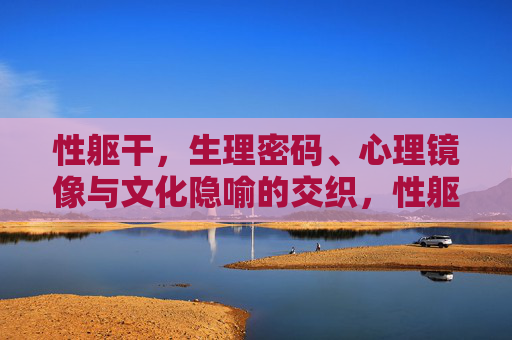 性躯干,生理密码、心理镜像与文化隐喻的交织,性躯干,生理密码、心理镜像与文化隐喻的交织 性躯干,生理密码、心理镜像与文化隐喻的交织,性躯干,生理密码、心理镜像与文化隐喻的交织