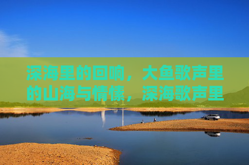 深海里的回响,大鱼歌声里的山海与情愫,深海歌声里的山海情愫 深海里的回响,大鱼歌声里的山海与情愫,深海歌声里的山海情愫