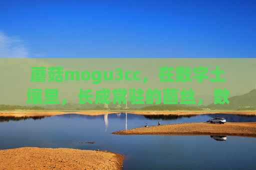 蘑菇mogu3cc,在数字土壤里,长成常驻的菌丝,数字土壤里,mogu3cc长成常驻菌丝 蘑菇mogu3cc,在数字土壤里,长成常驻的菌丝,数字土壤里,mogu3cc长成常驻菌丝