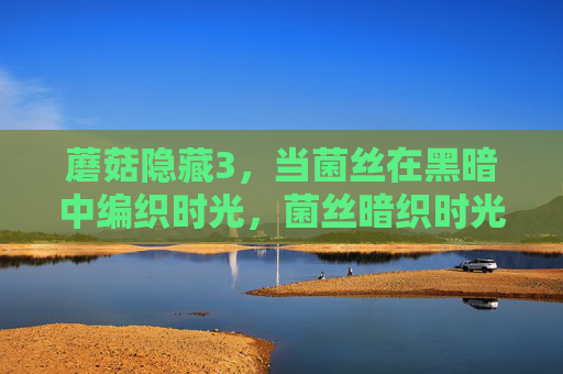 蘑菇隐藏3,当菌丝在黑暗中编织时光,菌丝暗织时光 蘑菇隐藏3,当菌丝在黑暗中编织时光,菌丝暗织时光
