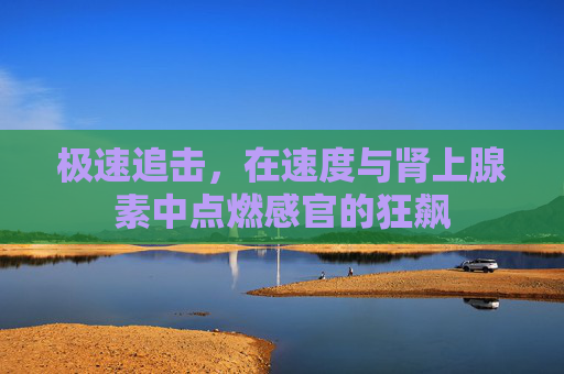 极速追击，在速度与肾上腺素中点燃感官的狂飙