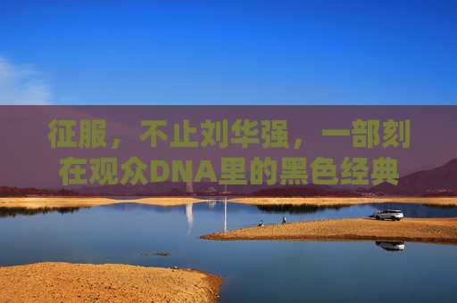 征服,不止刘华强,一部刻在观众DNA里的黑色经典,征服,不止刘华强的DNA级黑色经典 征服,不止刘华强,一部刻在观众DNA里的黑色经典,征服,不止刘华强的DNA级黑色经典