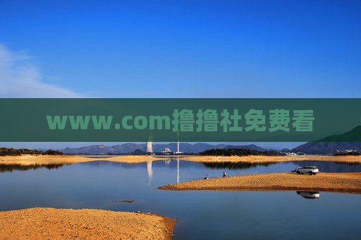 www.com撸撸社免费看 www.com撸撸社免费看