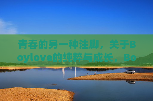青春的另一种注脚，关于Boylove的纯粹与成长，Boylove，青春纯粹与成长的另一种注脚