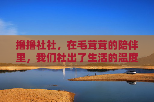 撸撸社社,在毛茸茸的陪伴里,我们社出了生活的温度,毛茸茸陪伴,社出生活温度 撸撸社社,在毛茸茸的陪伴里,我们社出了生活的温度,毛茸茸陪伴,社出生活温度
