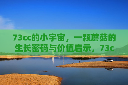 73cc的小宇宙,一颗蘑菇的生长密码与价值启示,73cc小宇宙,蘑菇的生长密码与价值启示 73cc的小宇宙,一颗蘑菇的生长密码与价值启示,73cc小宇宙,蘑菇的生长密码与价值启示